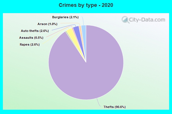 Crimes by type - 2020