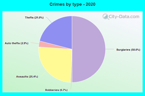 Crimes by type - 2020