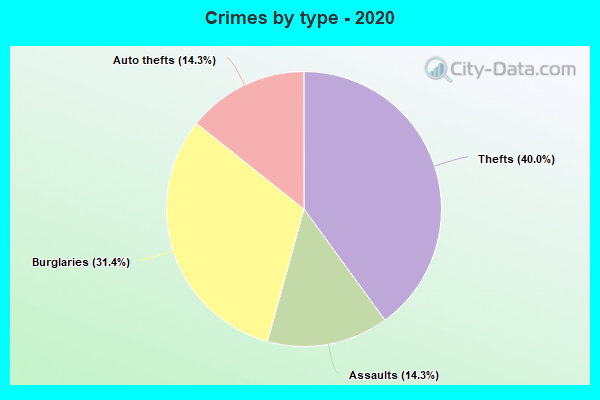 Crimes by type - 2020