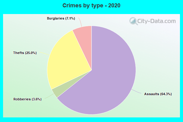 Crimes by type - 2020