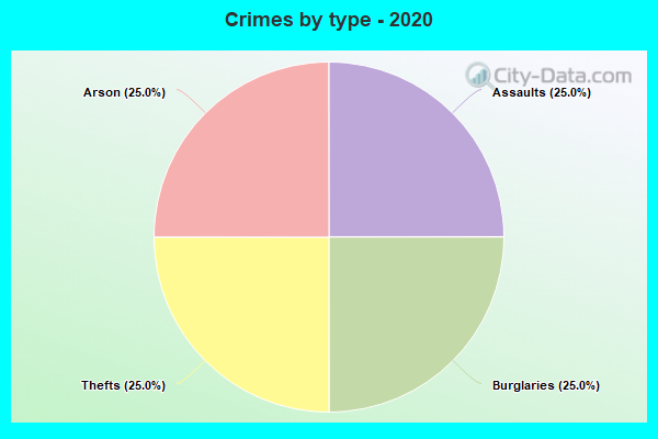 Crimes by type - 2020