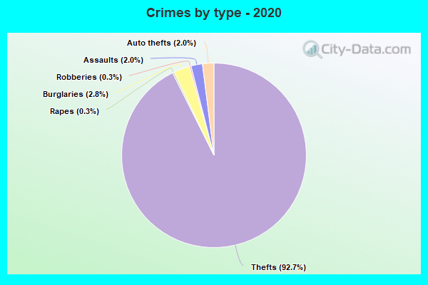 Crimes by type - 2020