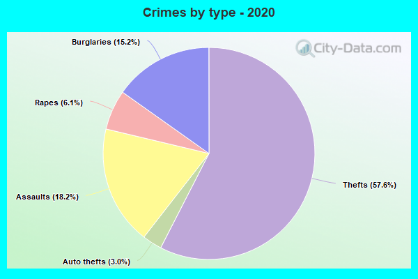 Crimes by type - 2020