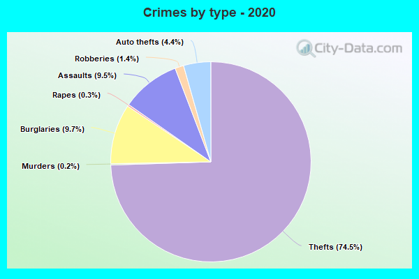 Crimes by type - 2020