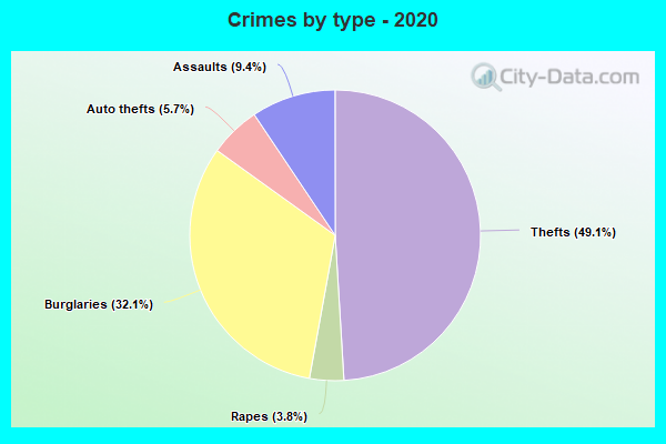 Crimes by type - 2020