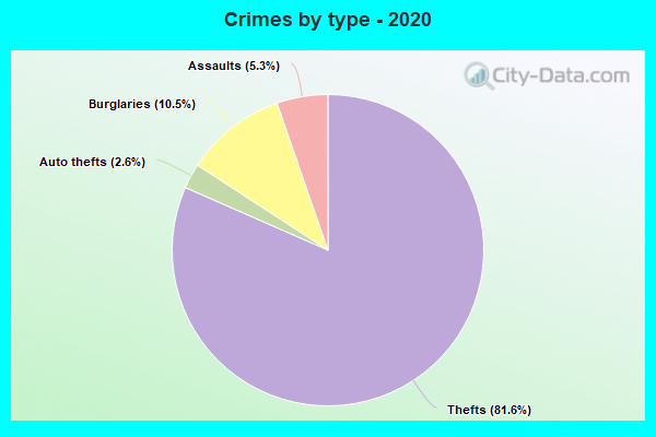 Crimes by type - 2020