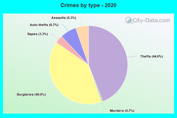 Crimes by type - 2020