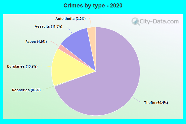 Crimes by type - 2020