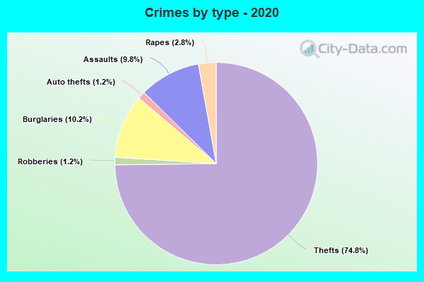 Crimes by type - 2020