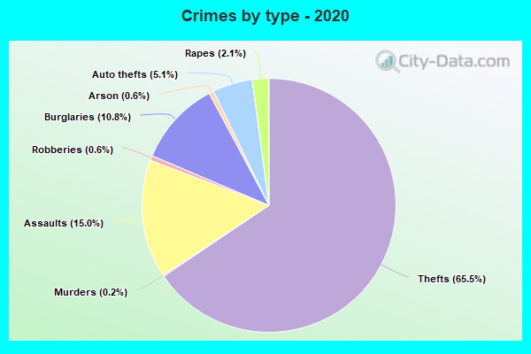 Crimes by type - 2020