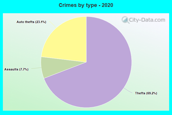 Crimes by type - 2020