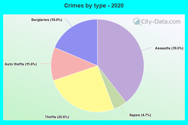 Crimes by type - 2020