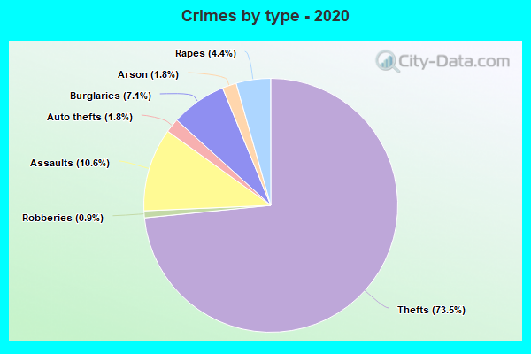 Crimes by type - 2020