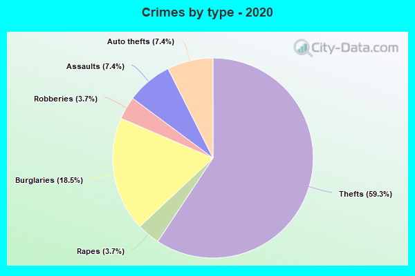 Crimes by type - 2020