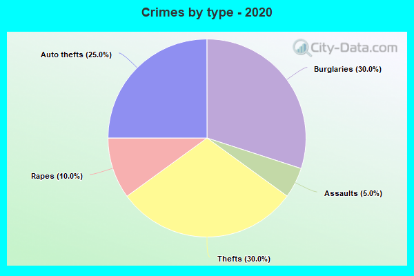 Crimes by type - 2020