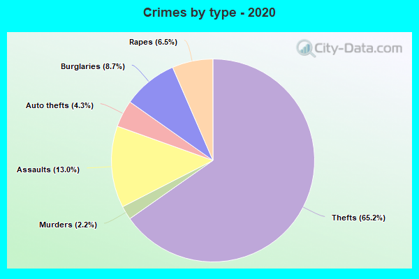 Crimes by type - 2020