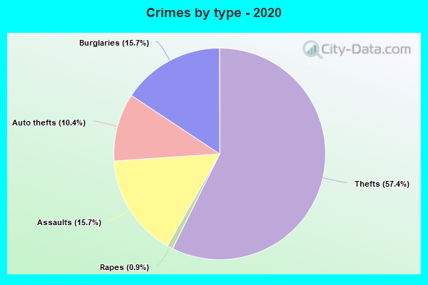 Crimes by type - 2020