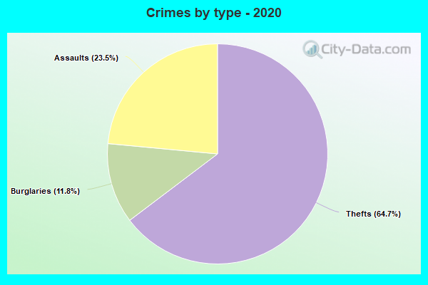 Crimes by type - 2020