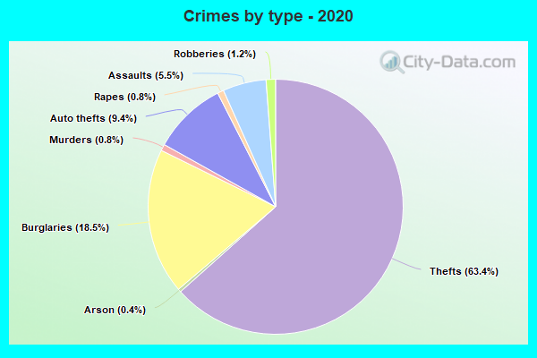 Crimes by type - 2020