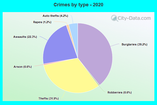 Crimes by type - 2020