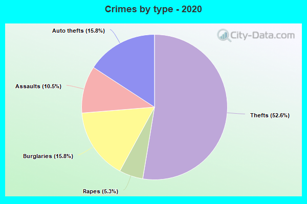 Crimes by type - 2020