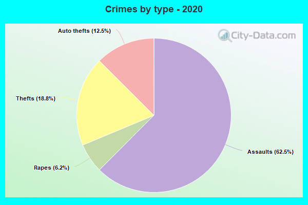 Crimes by type - 2020