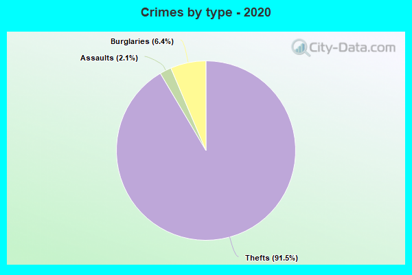 Crimes by type - 2020