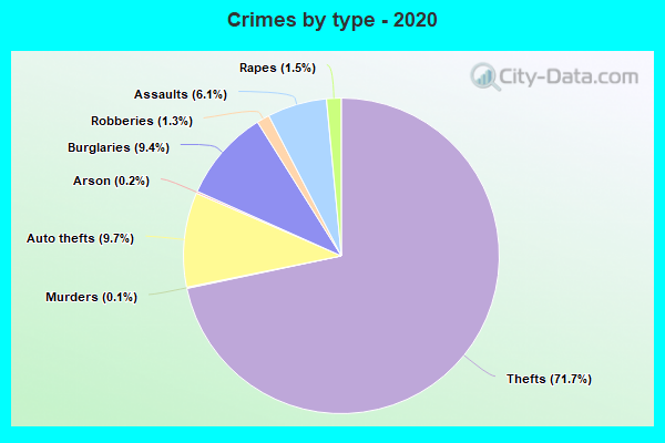 Crimes by type - 2020