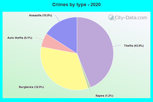 Crimes by type - 2020