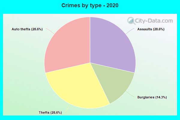 Crimes by type - 2020