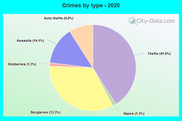 Crimes by type - 2020