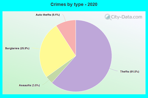 Crimes by type - 2020