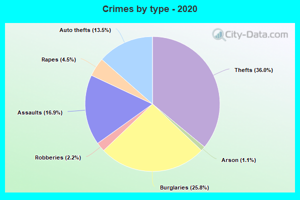 Crimes by type - 2020