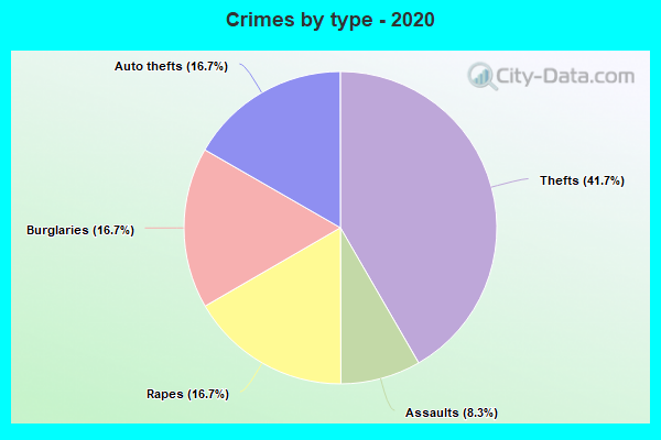 Crimes by type - 2020