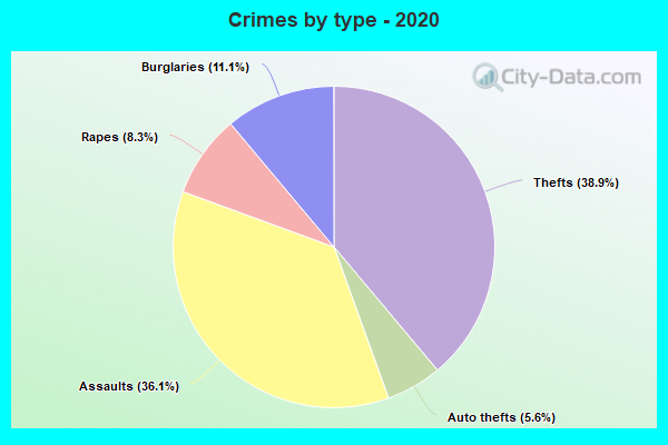 Crimes by type - 2020