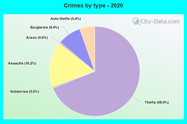 Crimes by type - 2020