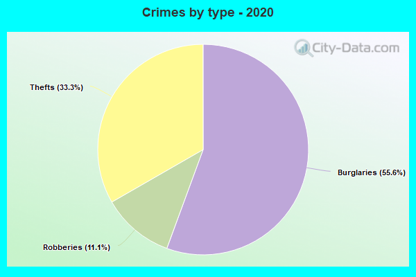 Crimes by type - 2020