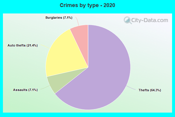 Crimes by type - 2020