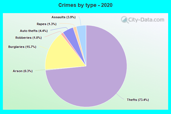 Crimes by type - 2020