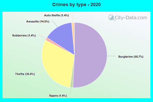 Crimes by type - 2020