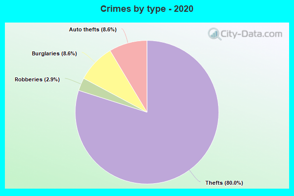 Crimes by type - 2020