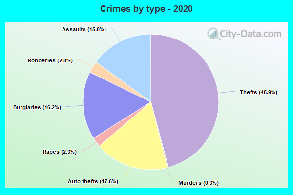 Crimes by type - 2020