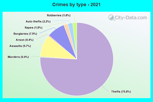 Crimes by type - 2021