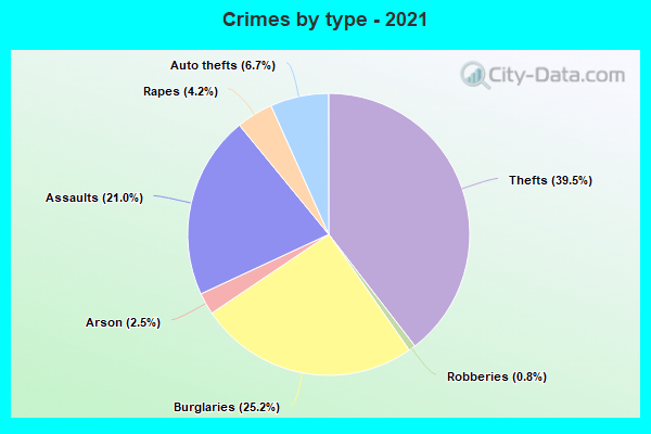 Crimes by type - 2021