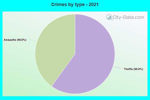 Crimes by type - 2021