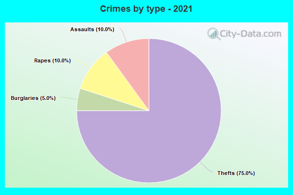 Crimes by type - 2021