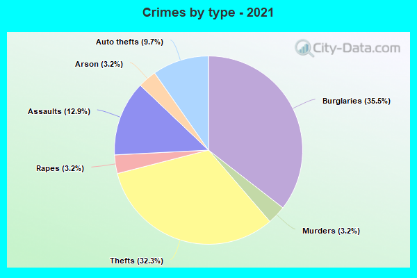 Crimes by type - 2021