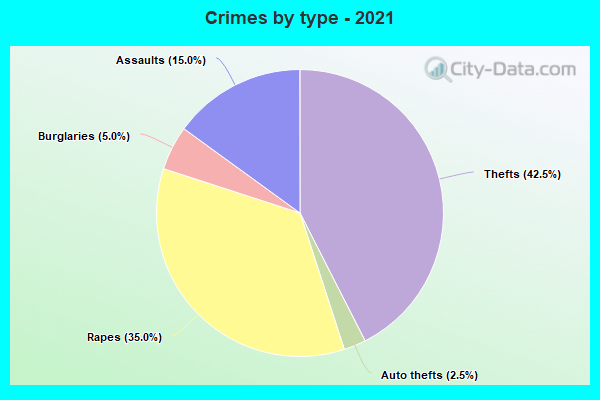 Crimes by type - 2021