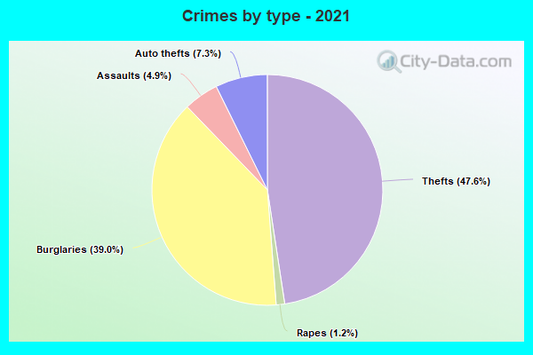 Crimes by type - 2021