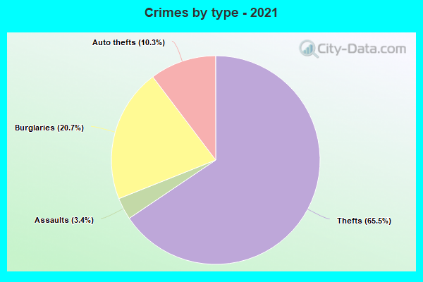 Crimes by type - 2021